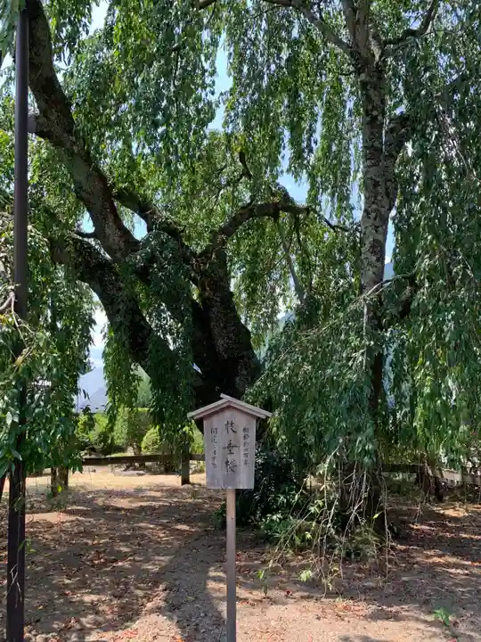 久遠寺(山梨県)