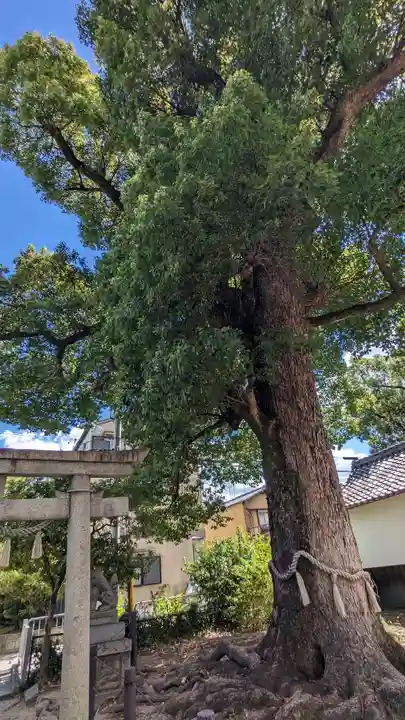 五社神社(京都府)