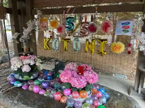 琴似神社(北海道)