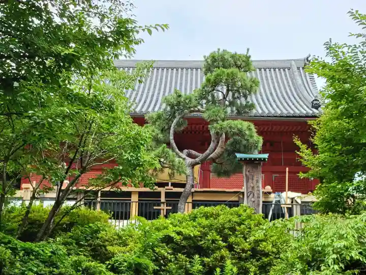 清水観音堂の自然