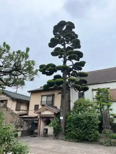 玉林寺(愛知県)