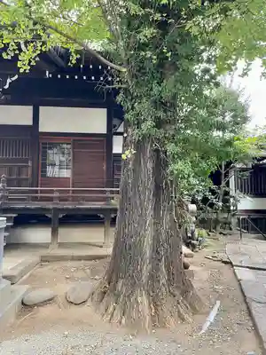 正徳寺(東京都)