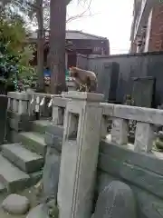 小野照崎神社の動物