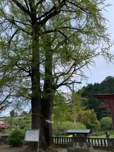 室生神社の自然