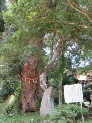 日枝神社のその他建物