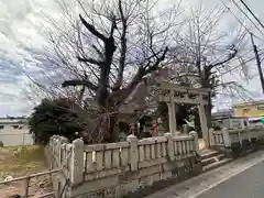 市杵島姫神社(徳島県)