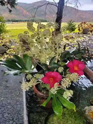 高司神社〜むすびの神の鎮まる社〜(福島県)