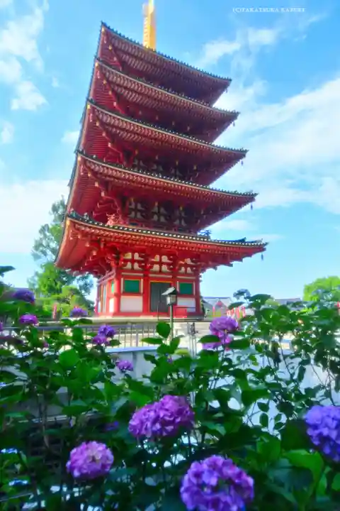 高幡不動尊 金剛寺(東京都)