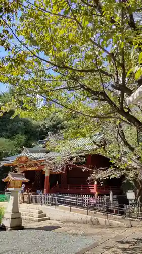 金王八幡宮の本殿・本堂