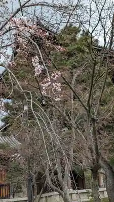 くろ谷 金戒光明寺(京都府)