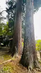 志波加神社(京都府)