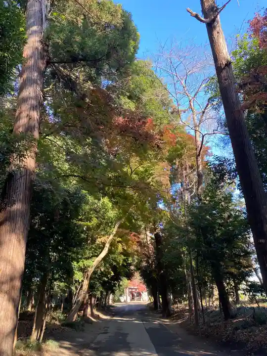 鹿嶋神社のその他建物
