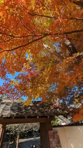 西雲院(京都府)