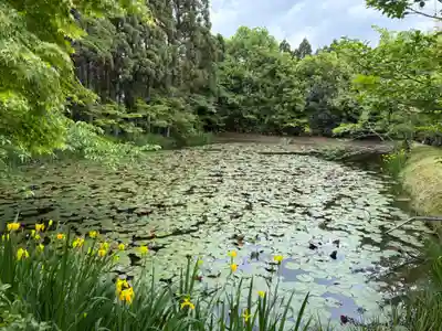 酬恩庵一休寺(京都府)