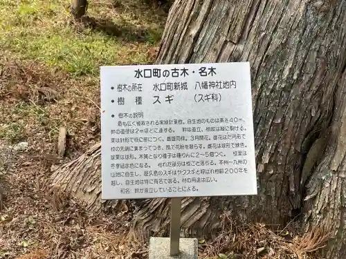八幡神社(水口町新城)の{uncategorized: "未分類", other: "その他", undefined: "問題あり", building: "その他建物", grave: "お墓", sacred_gate: "鳥居", guardian: "狛犬", statue: "像", buddha: "仏像", history: "歴史", nature: "自然", garden: "庭園", animal: "動物", pagoda: "塔", temizu: "手水舎", mountain_gate: "山門・神門", sanctuary: "本殿・本堂", subordinate: "末社・摂社", art: "芸術", scenery: "景色", jizo: "地蔵", ema: "絵馬", goshuin: "御朱印", omikuji: "おみくじ", items: "授与品その他", amulet: "お守り", goshuincho: "御朱印帳", eats: "食事", festival: "お祭り", votive_dance: "神楽", shichigosan: "七五三参", wedding: "結婚式", experience: "体験その他", initially: "初詣", around: "周辺", anti_infection: "感染症対策"}