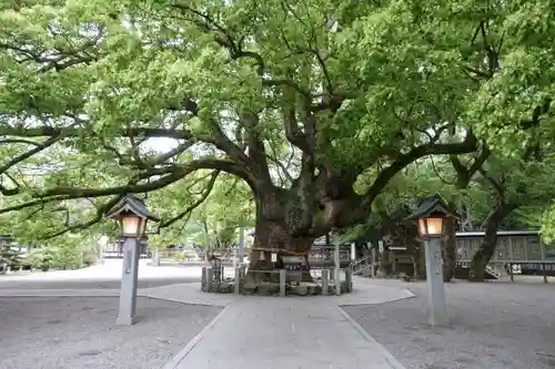 大麻比古神社の自然