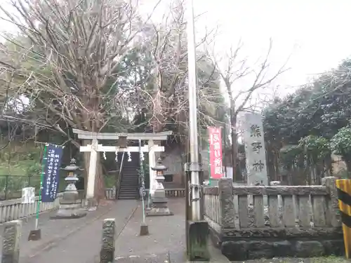 熊野神社の鳥居