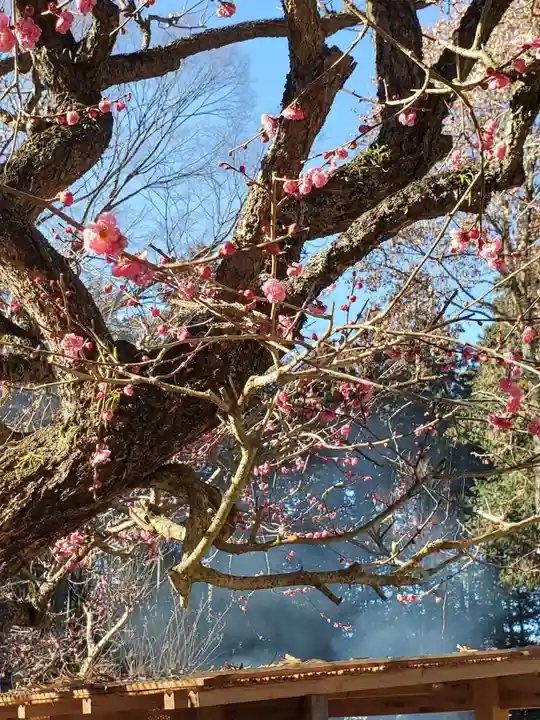 芳賀天満宮の自然