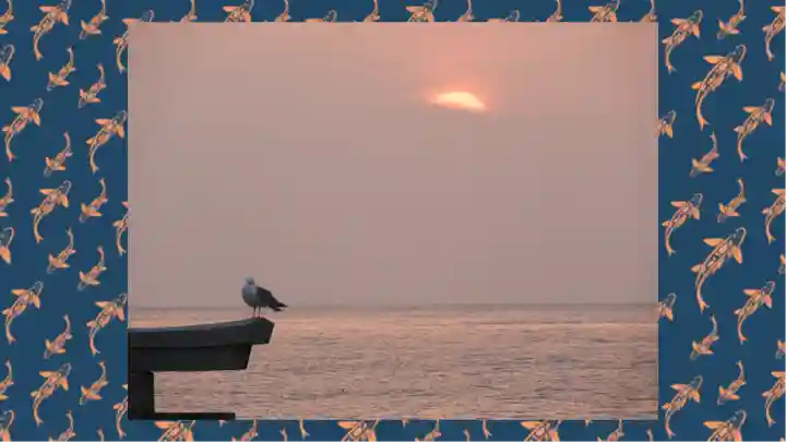 大洗磯前神社(茨城県)