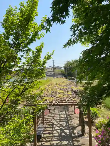 城ヶ入観音の自然