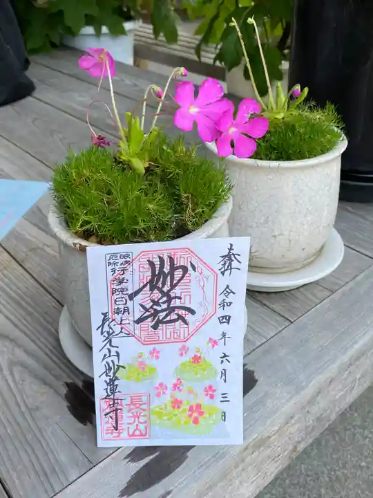 妙蓮寺の御朱印