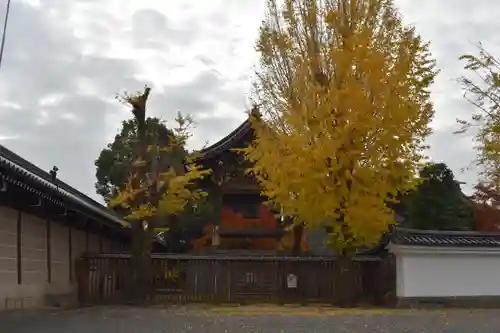 本願寺（西本願寺）のその他建物