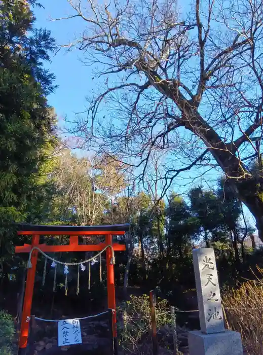 鷲宮神社の建物その他