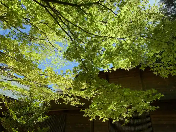滑川神社 - 仕事と子どもの守り神(福島県)