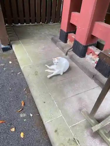 伊豆山神社(静岡県)
