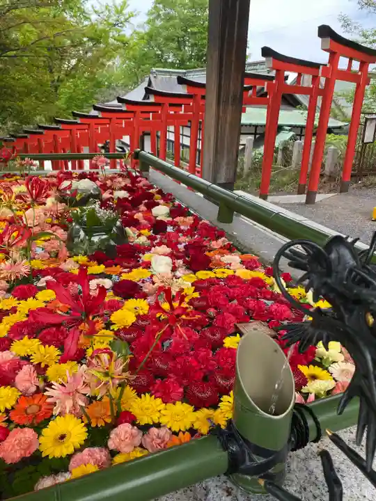 住吉神社の手水舎
