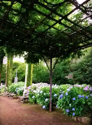 妙法寺(東京都)