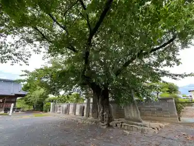 三方島神社(宮城県)
