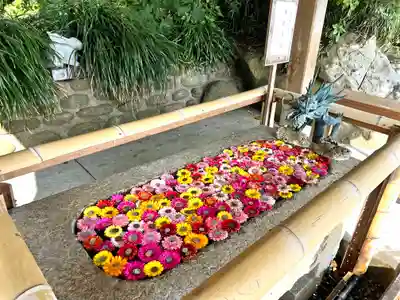 鵜戸神宮の手水舎