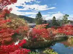 禅林寺（永観堂）(京都府)