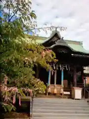 桜神宮(東京都)