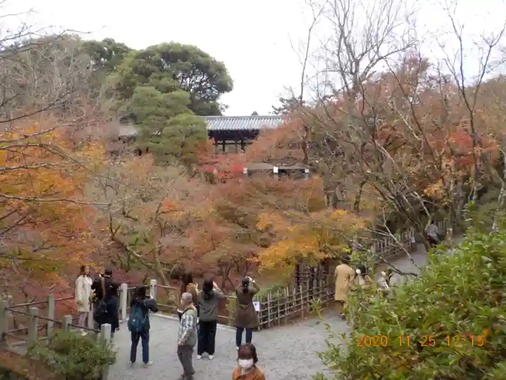 東福禅寺(東福寺)の景色