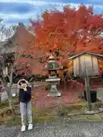 勝林寺(京都府)