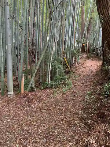 借宿山蔵王大神(千葉県)