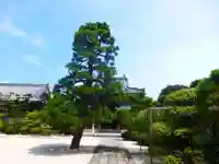 千眼寺(福岡県)