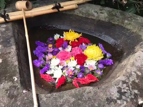 真言宗　善通寺派　薬王寺の手水