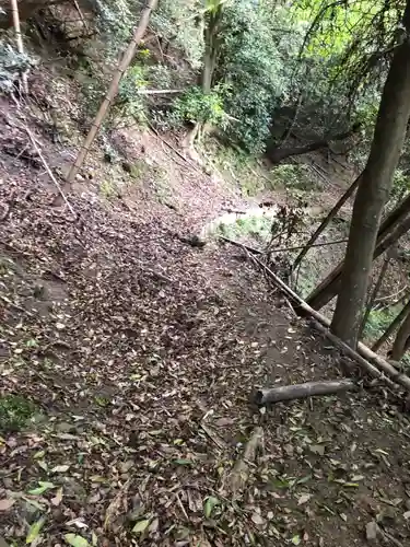 石井神社の自然