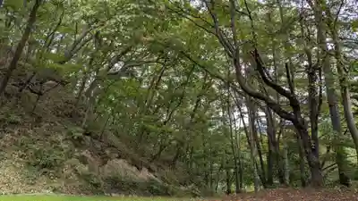 豊受稲荷神社の自然