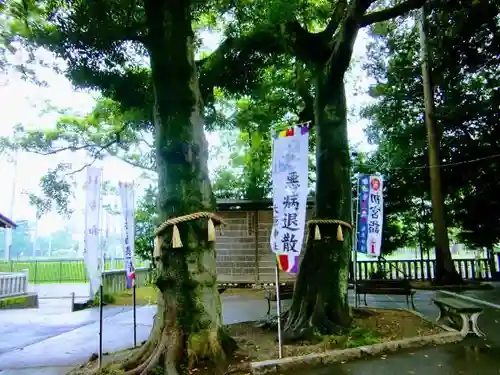 大宮・大原神社の自然