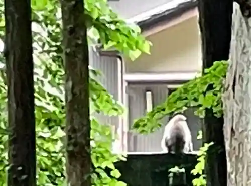 雄山神社中宮祈願殿(富山県)