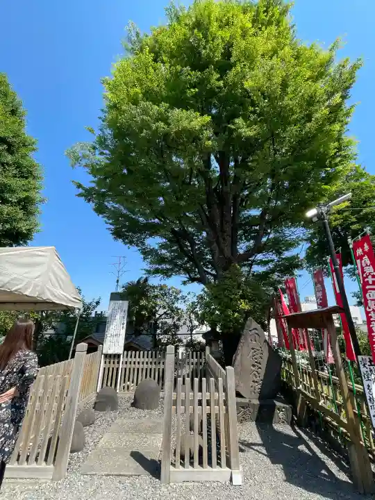 弘明寺の{uncategorized: "未分類", other: "その他", undefined: "問題あり", building: "その他建物", grave: "お墓", sacred_gate: "鳥居", guardian: "狛犬", statue: "像", buddha: "仏像", history: "歴史", nature: "自然", garden: "庭園", animal: "動物", pagoda: "塔", temizu: "手水舎", mountain_gate: "山門・神門", sanctuary: "本殿・本堂", subordinate: "末社・摂社", art: "芸術", scenery: "景色", jizo: "地蔵", ema: "絵馬", goshuin: "御朱印", omikuji: "おみくじ", items: "授与品その他", amulet: "お守り", goshuincho: "御朱印帳", eats: "食事", festival: "お祭り", votive_dance: "神楽", shichigosan: "七五三参", wedding: "結婚式", experience: "体験その他", initially: "初詣", around: "周辺", anti_infection: "感染症対策"}