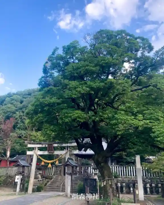 橿森神社(岐阜県)
