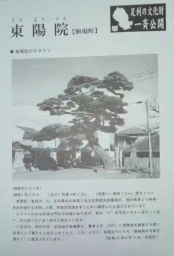 東陽院の授与品その他