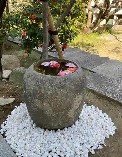 青蓮寺(大阪府)