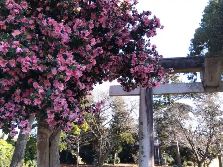 八幡神社(福井県)