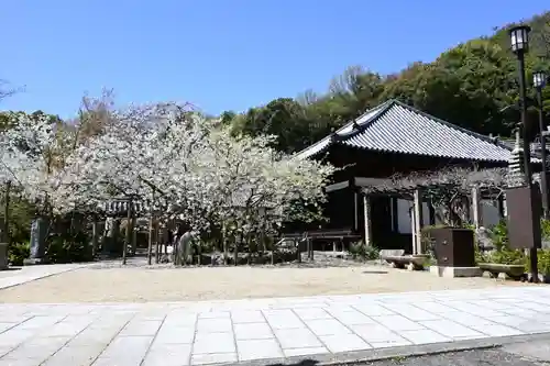 大宝寺(愛媛県)